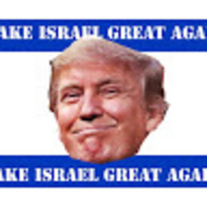 Meet your Posher, Harley